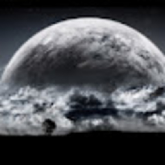 Meet your Posher, Jeffry - Picture 1 of 1